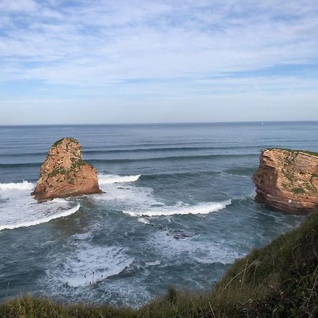 Appart 12 Pers 5Km Plage Hendaye Urrugne Esterno foto
